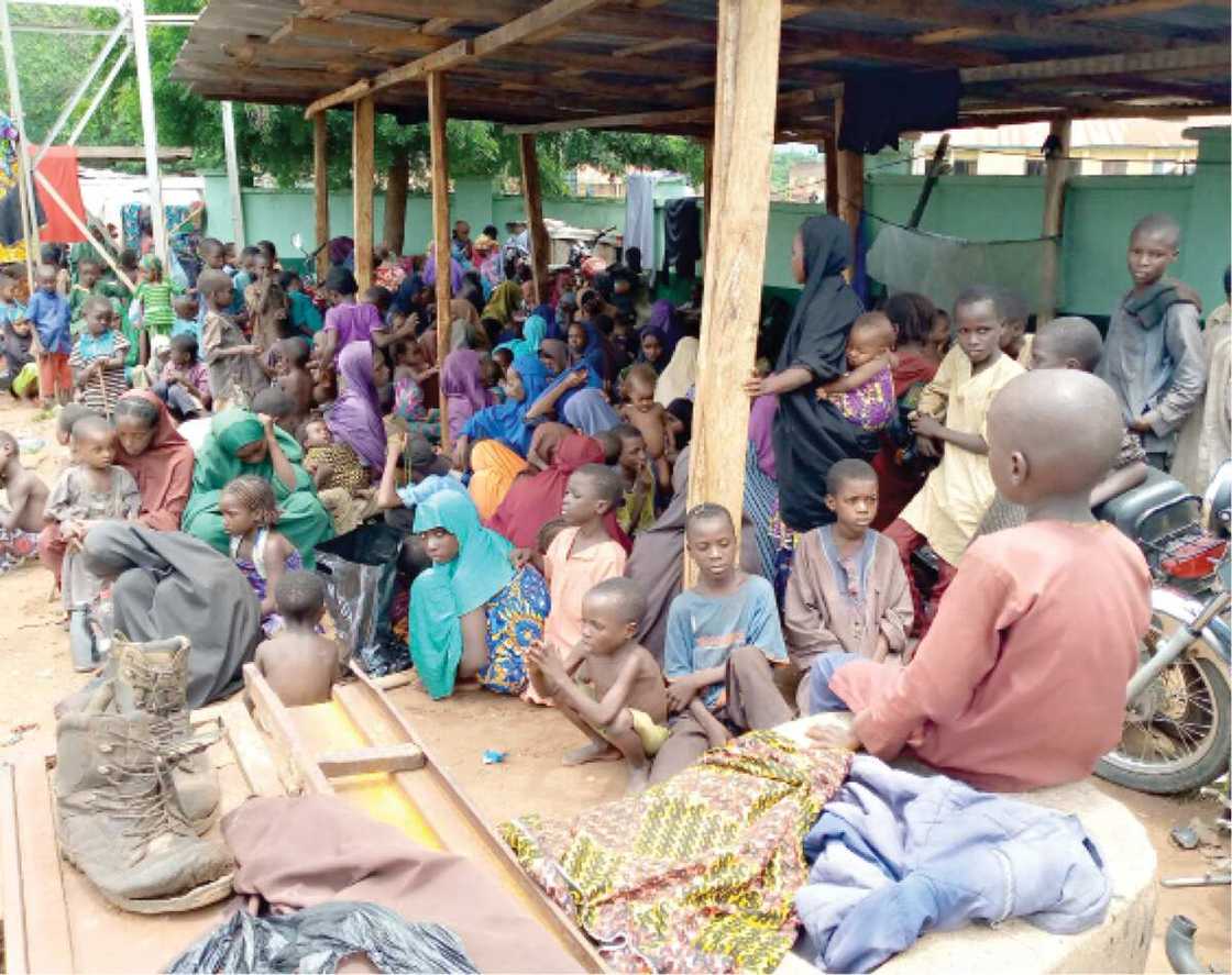 Hukumar Soji ta mika mutane 778 da ta ceto daga hannun yan ta'addan Darul Salam ga gwamnoni jihohi 16 Hukumar Soji ta mika mutane 778 da ta ceto daga hannun yan ta'addan Darul Salam ga gwamnoni jihohi 16