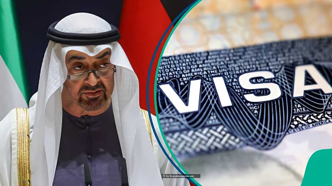 Abu Dhabi names documents high school graduates must submit for 10-year Golden Visa Abu Dhabi names documents high school graduates must submit for 10-year Golden Visa