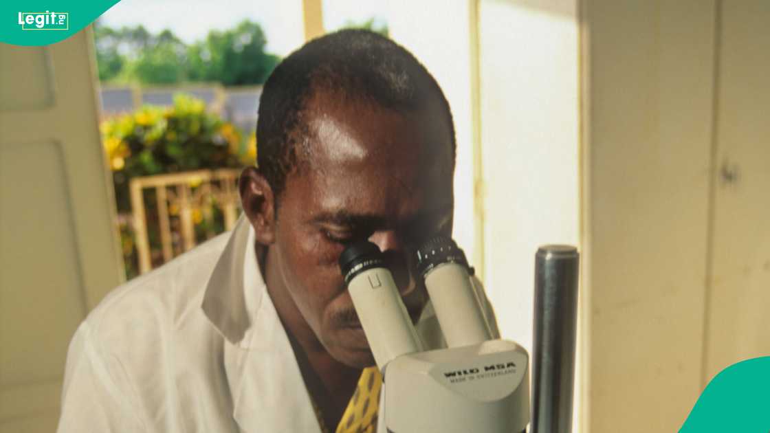 Young researchers gain mentorship through Nigerian Young Academy to drive market‑driven innovation.