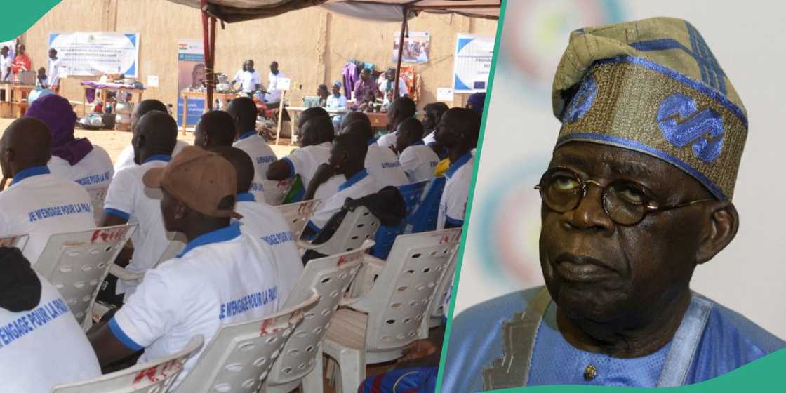 Tinubu's govt advised on rehabilitation of Boko Haram fighters Tinubu's govt advised on rehabilitation of Boko Haram fighters