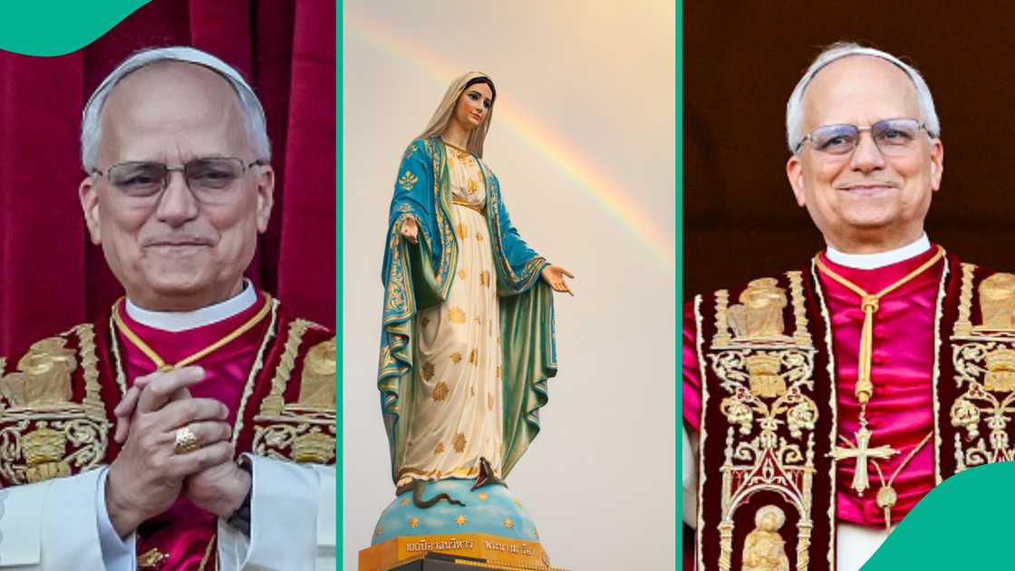 Man reacts as Pope Leo passes new decree about Mary. Man reacts as Pope Leo passes new decree about Mary.