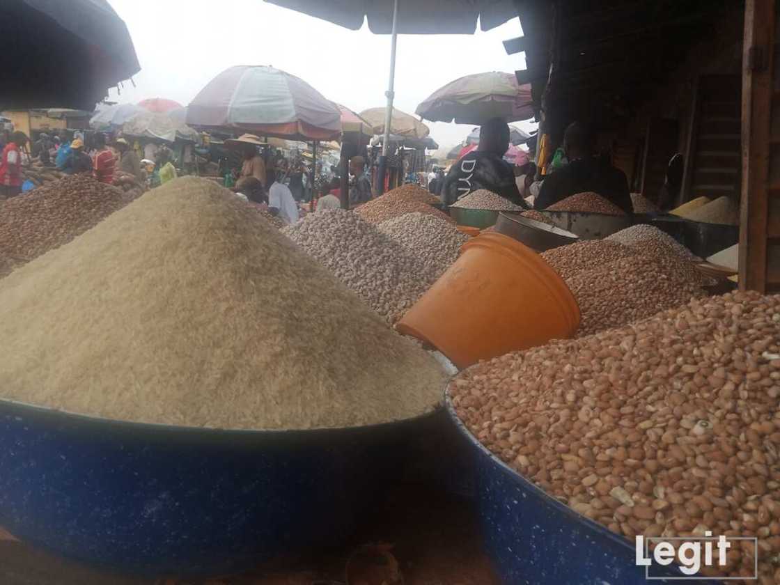 Legit.ng Weekly Price Check: Lagos Trader Gives 1 Major Reason He Won’t Vote Atiku, Tinubu Legit.ng Weekly Price Check: Lagos Trader Gives 1 Major Reason He Won’t Vote Atiku, Tinubu