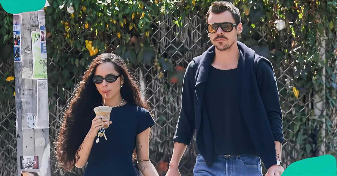 Harry Styles and Zoë Kravitz hold hands