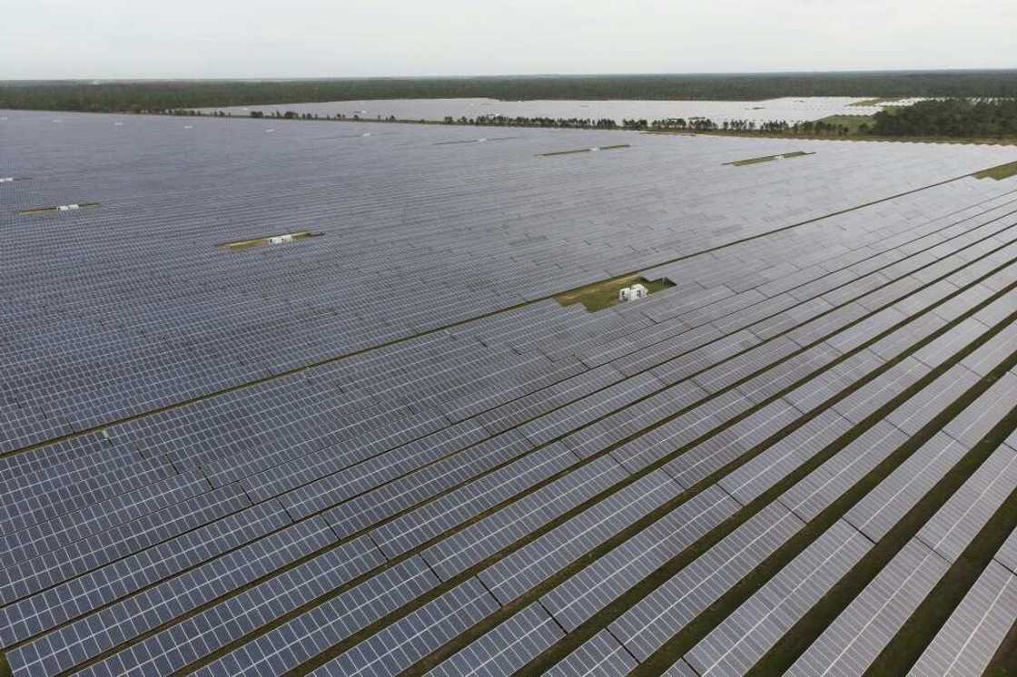 A field of solar panels in Babcock Ranch, Florida in December 2023 A field of solar panels in Babcock Ranch, Florida in December 2023