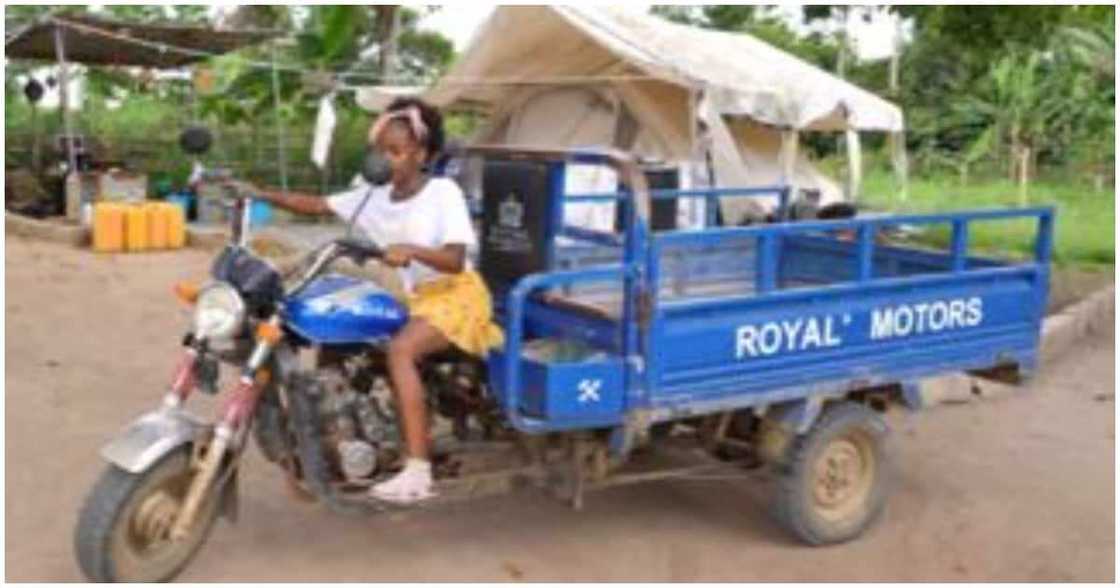 Jamaica family, civilisation, forest, Ghana, UK Jamaica family, civilisation, forest, Ghana, UK