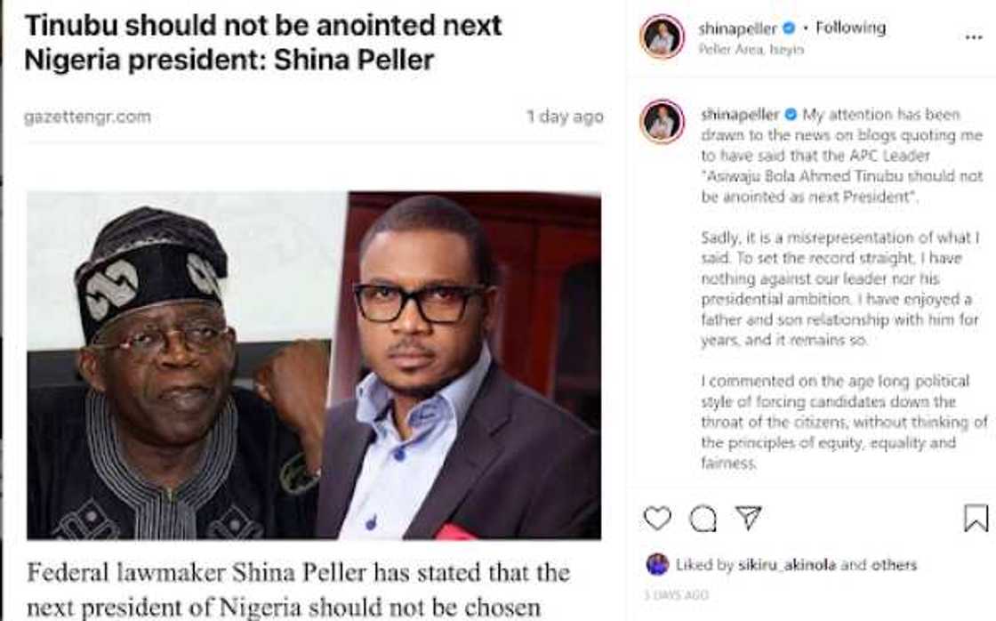 Did Shina Peller say Tinubu should not be appointed Nigeria’s next president?