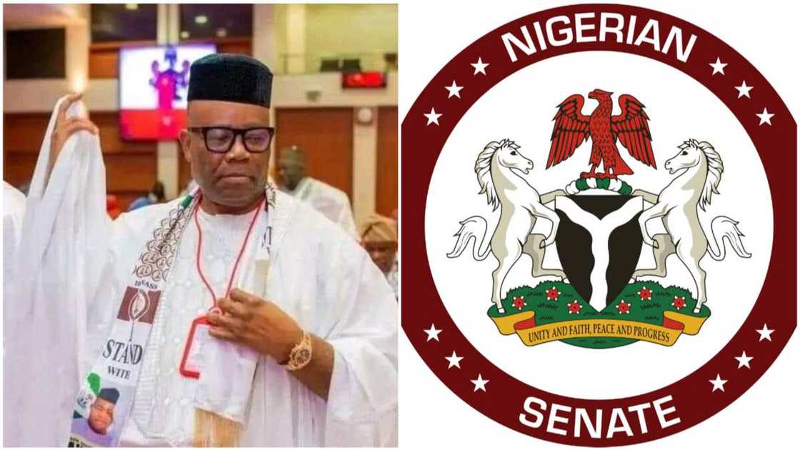 Senate/House of Representatives/Bola Tinubu/APC/Godswill Akpabio/Tajudeen Abbas Senate/House of Representatives/Bola Tinubu/APC/Godswill Akpabio/Tajudeen Abbas