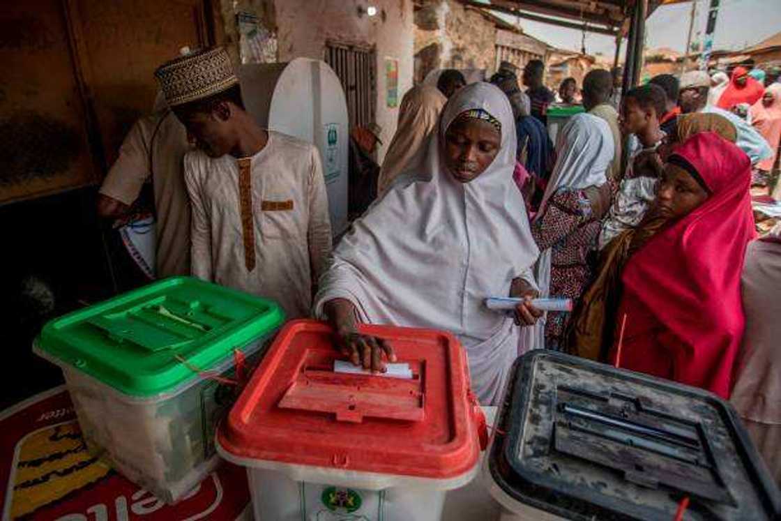 2023 election 2023 election