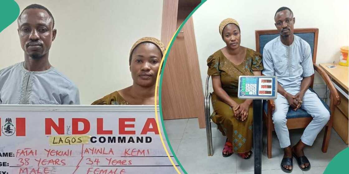 NDLEA arrests intending pilgrims to Saudi Arabia in Lagos NDLEA arrests intending pilgrims to Saudi Arabia in Lagos