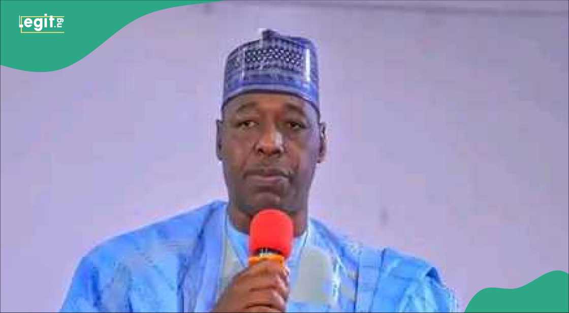 Gwamna Zulum