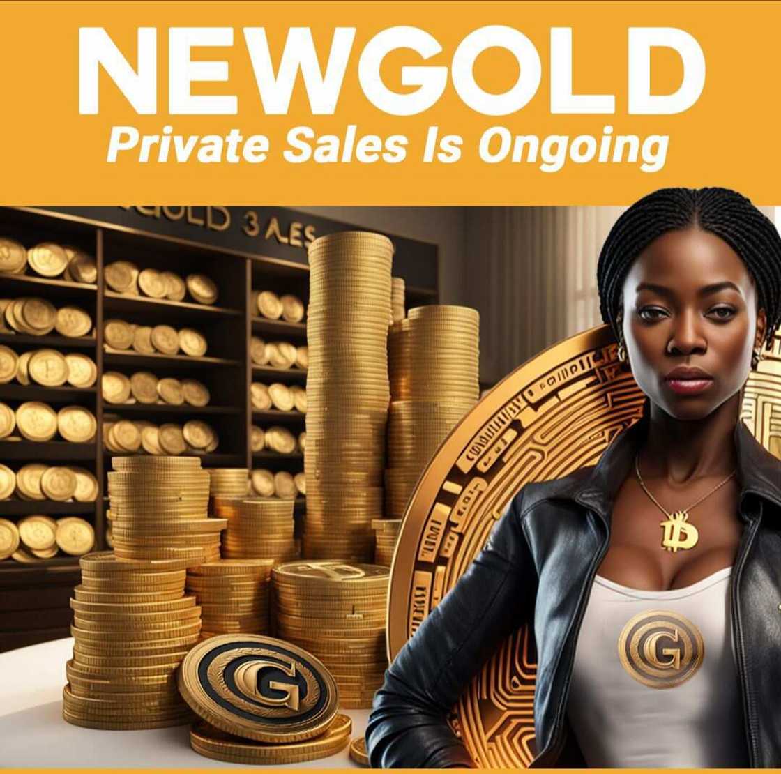 NewGold Coin: Cryptocurrency To Buy At $8 And Sell At $1000 By January 2024 With Over 1000% ROI NewGold Coin: Cryptocurrency To Buy At $8 And Sell At $1000 By January 2024 With Over 1000% ROI
