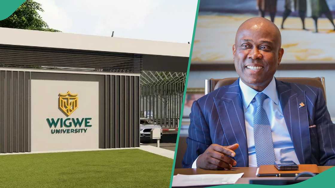 Herbert Wigwe Herbert Wigwe