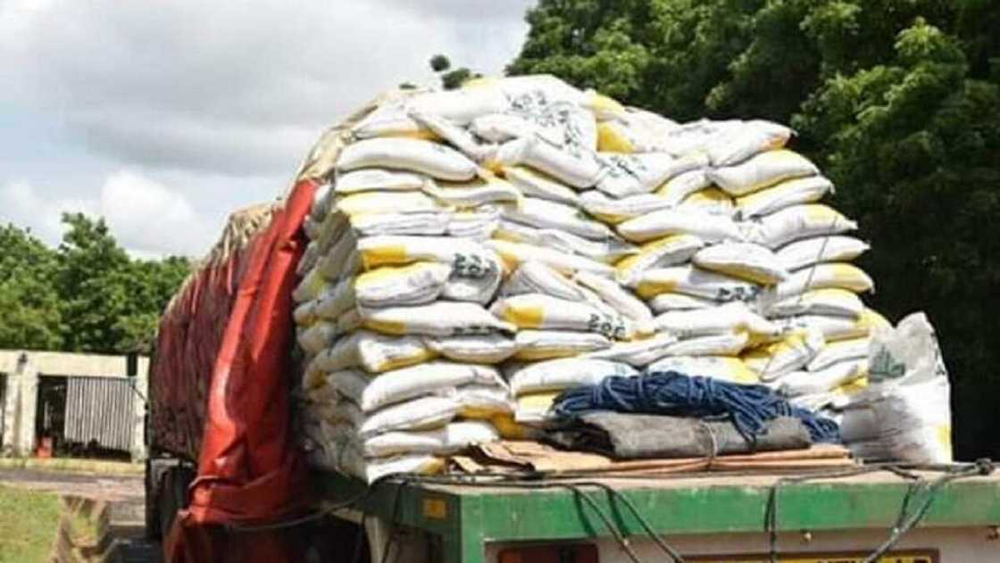 Dakarun soji sun kwace taki mai yawa da aka yi sumogal din shi, DHQ Dakarun soji sun kwace taki mai yawa da aka yi sumogal din shi, DHQ