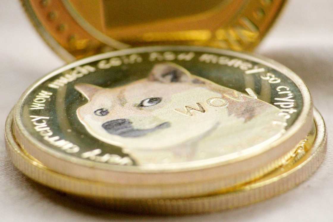 BDAG Keynote 3 Reaches Wide Audience! DOGE & ADA Prices Decline BDAG Keynote 3 Reaches Wide Audience! DOGE & ADA Prices Decline