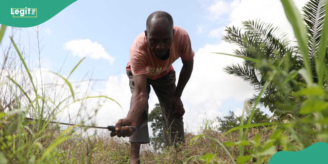 Ebonyi farmer murdered.