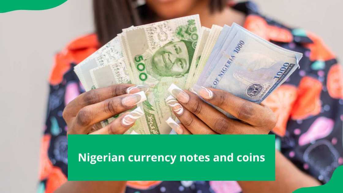 Nigerian currency notes and coins Nigerian currency notes and coins