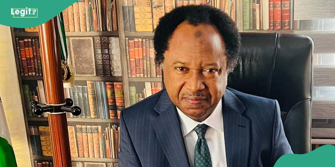 Shehu Sani ya yi martani kan kisan sarakunan Ekiti biyu