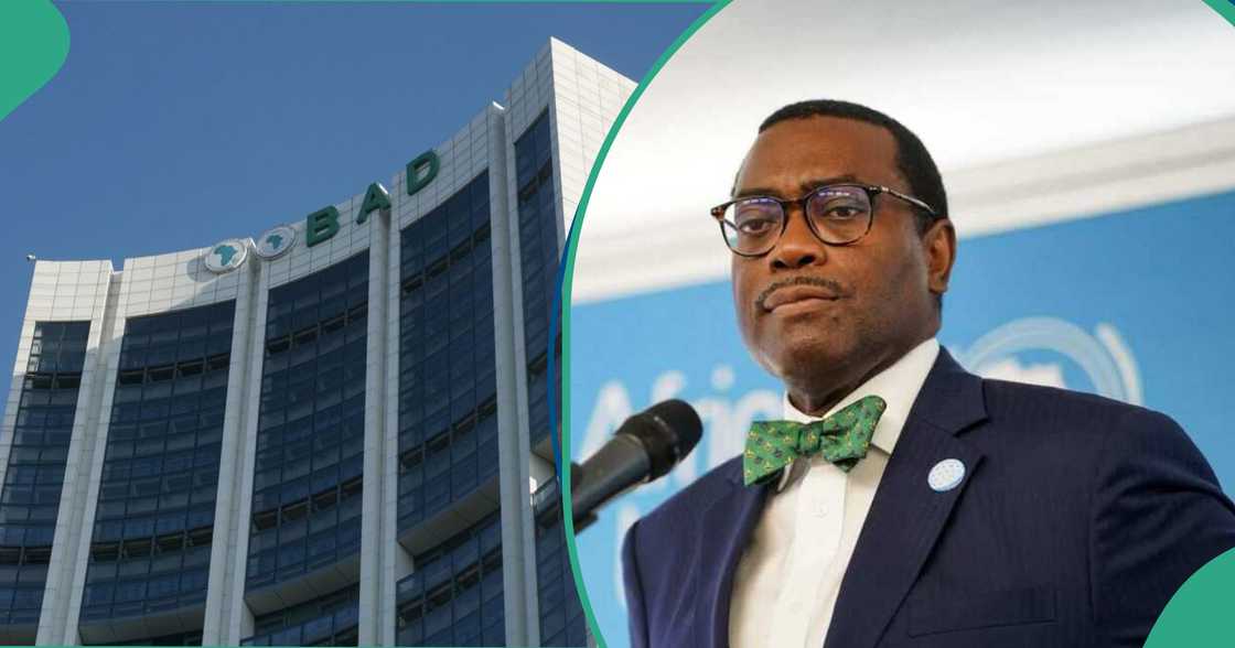 21 states enrolled in AfDB agric scheme 21 states enrolled in AfDB agric scheme