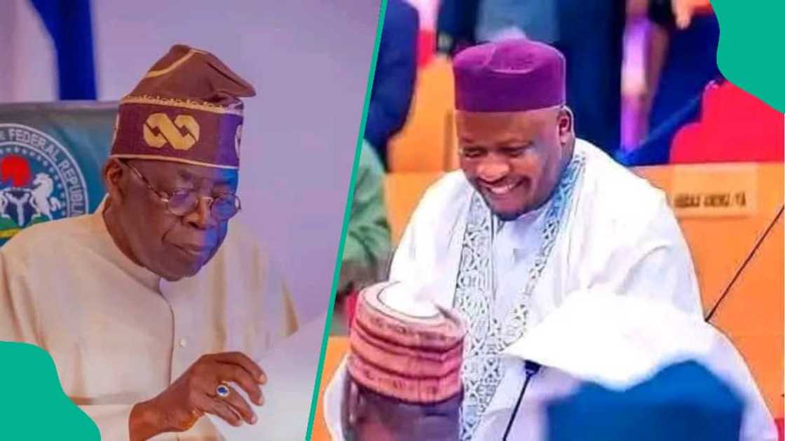 Kawu Sumaila Kawu Sumaila