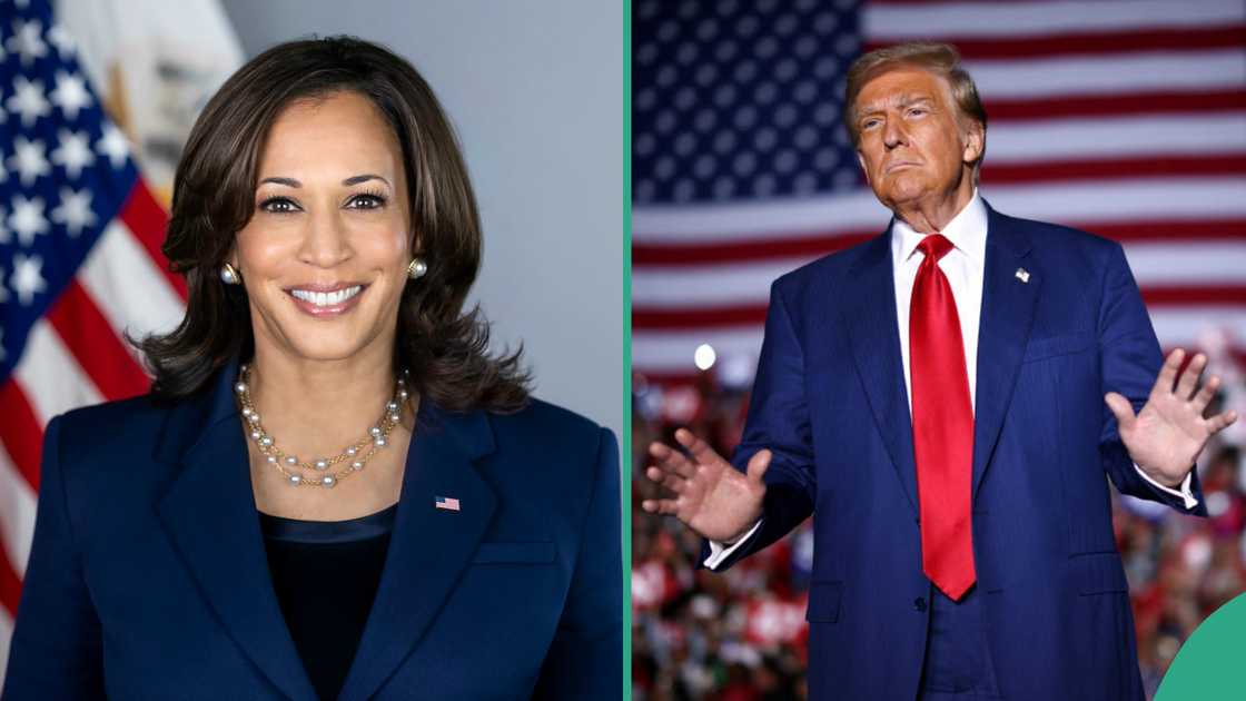 US election: Analyst predicts winner Trump, Harris battle