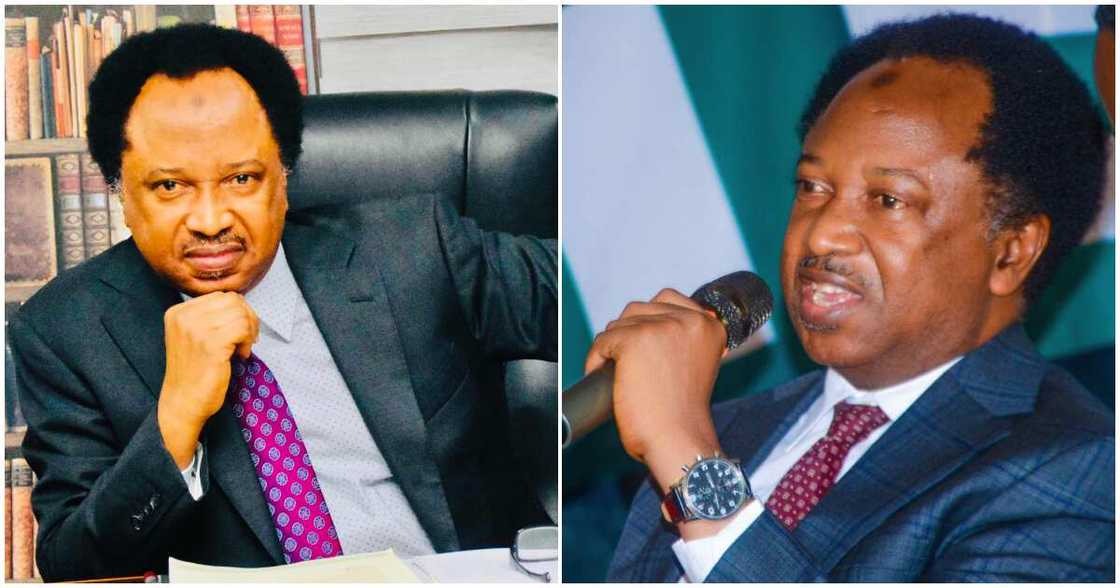 Shehu Sani throws a jibe at unconfirmed Tinubu’s ministerial nominee/Shehu Sani throws jibe at El-Rufai for not being confirmed by Senate as a minister Shehu Sani throws a jibe at unconfirmed Tinubu’s ministerial nominee/Shehu Sani throws jibe at El-Rufai for not being confirmed by Senate as a minister