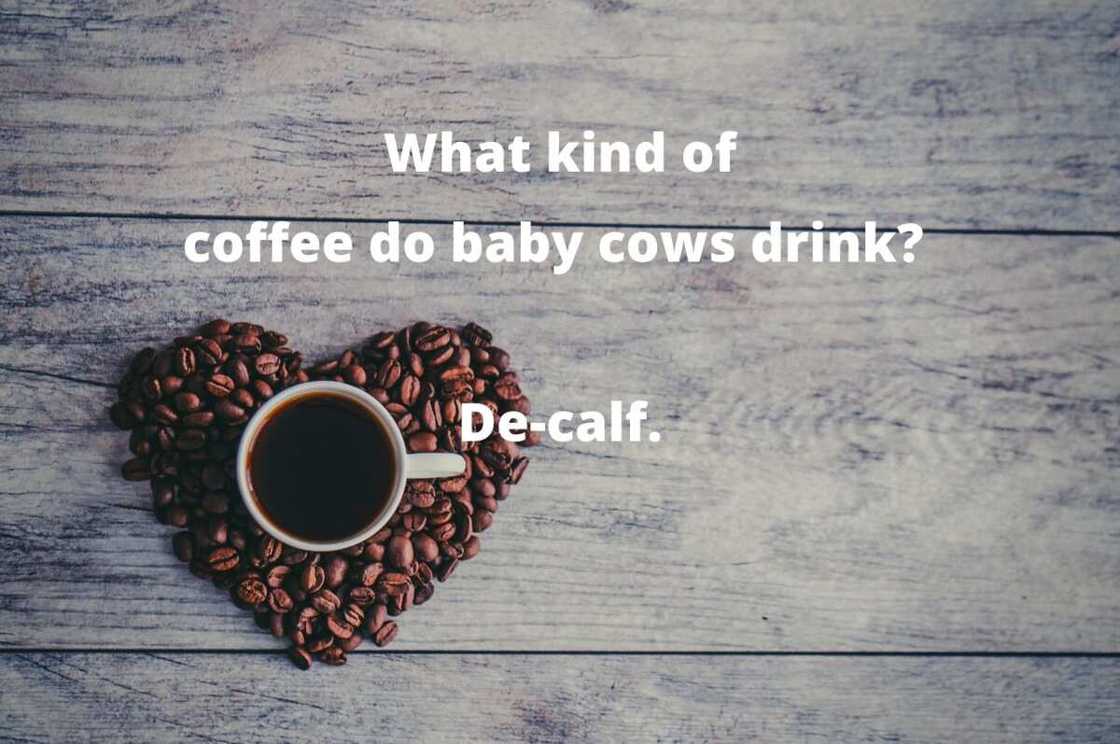 Coffee humor