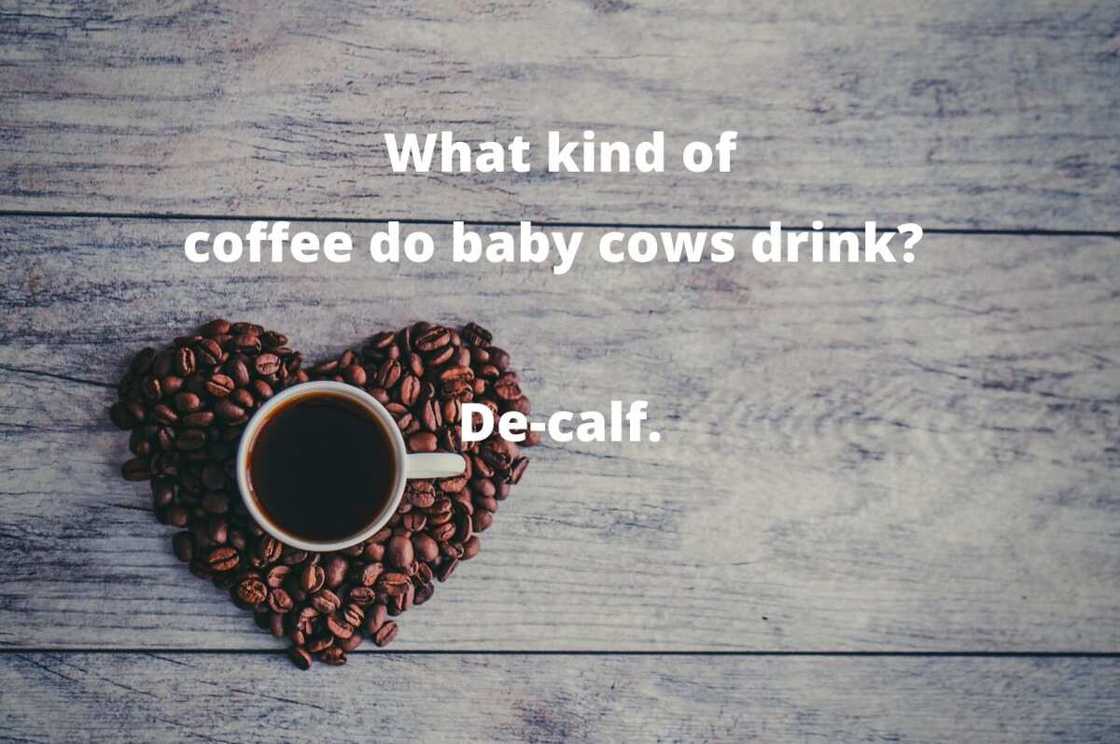 Coffee humor Coffee humor