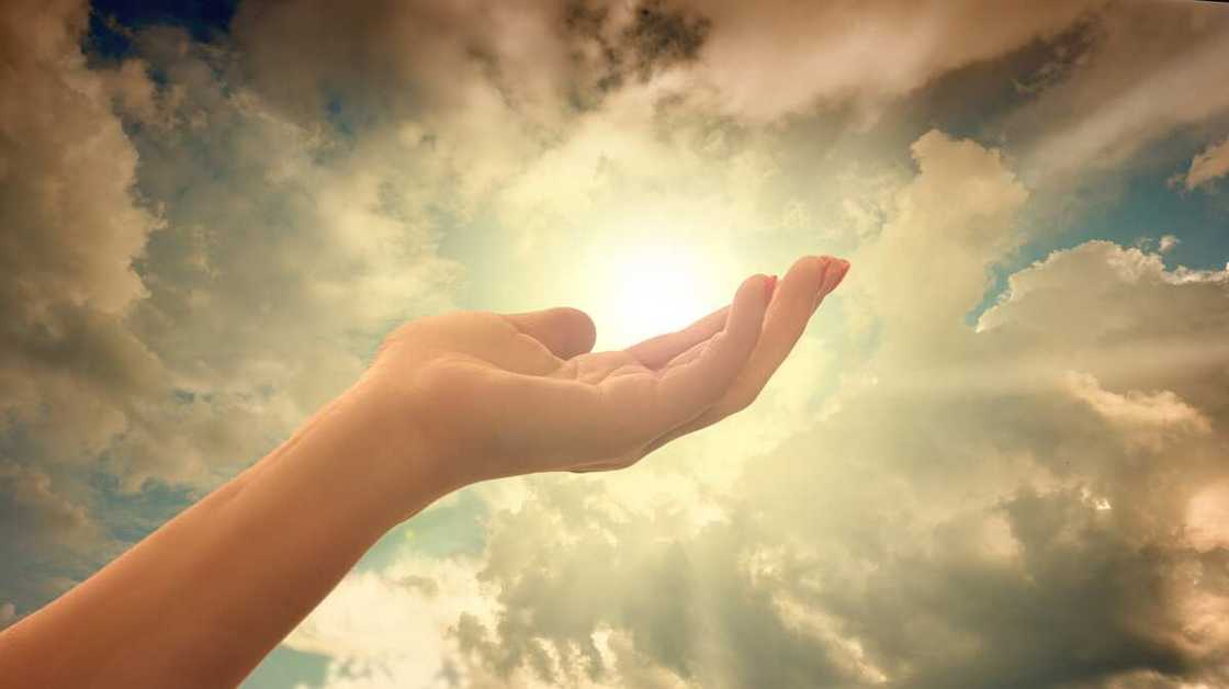 Comment vous entourer d'ondes positives ? 7 idées pour un cycle vertueux Comment vous entourer d'ondes positives ? 7 idées pour un cycle vertueux