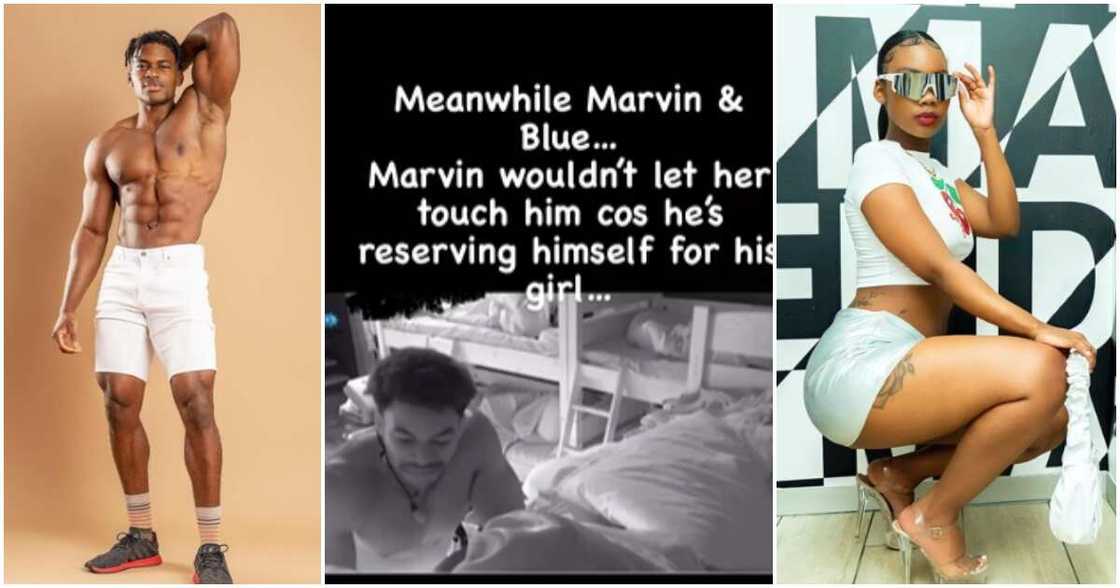 Photos of Blue Aiva Photos of Blue Aiva