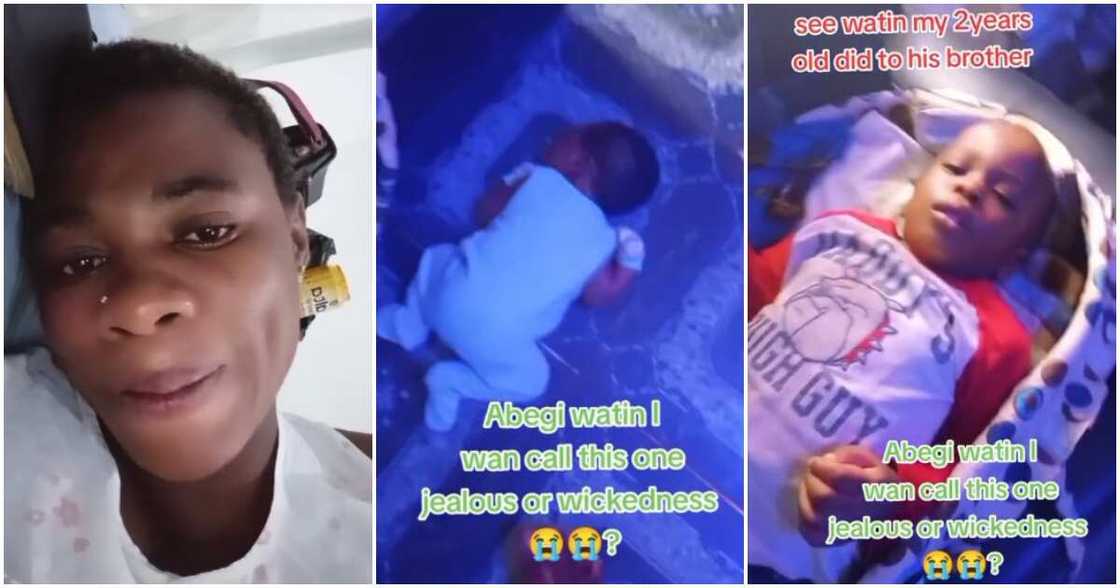 David's mum, David, baby, jealous son David's mum, David, baby, jealous son