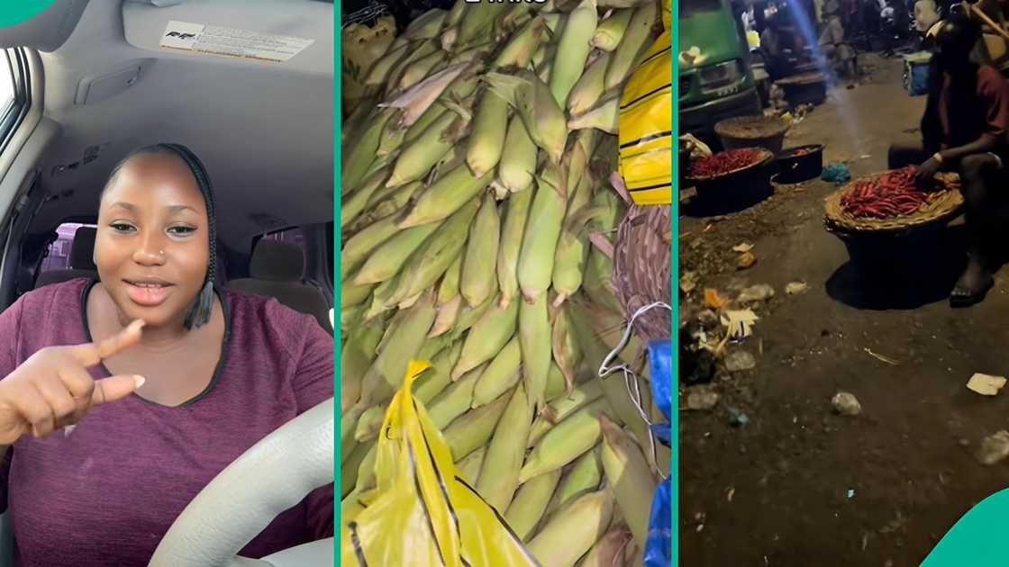 Lady Who Goes to Lagos Market by 3:30 am Posts Available Goods, Shares Details About Their Prices