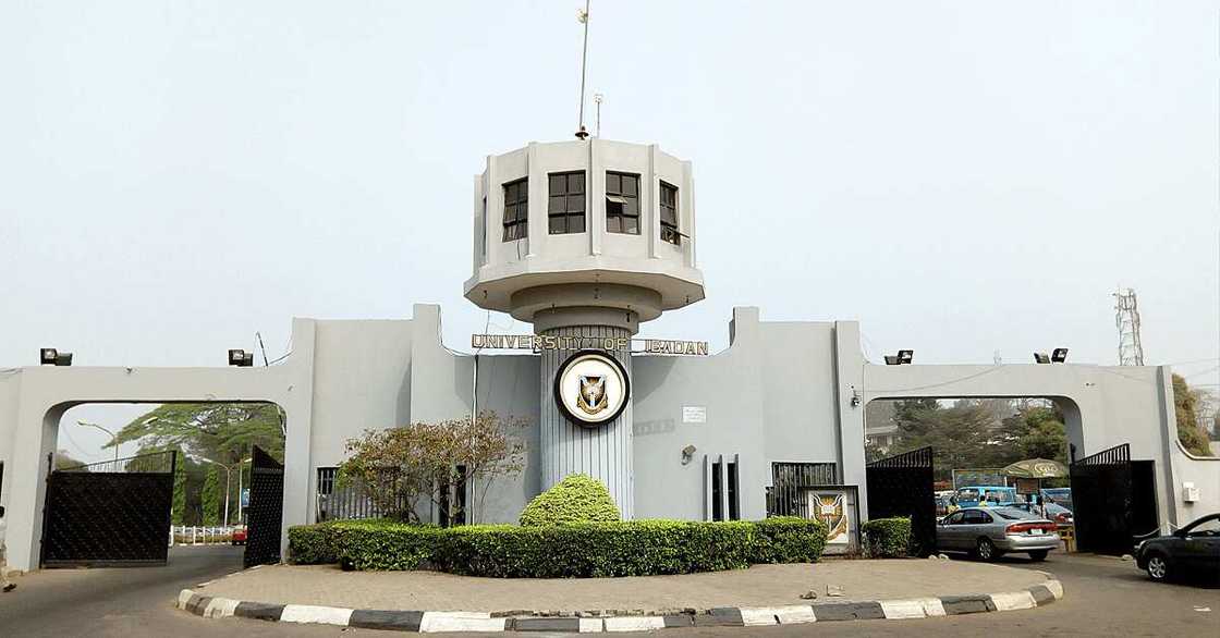 University of Ibadan Rated Best University In NUC Latest Ranking University of Ibadan Rated Best University In NUC Latest Ranking