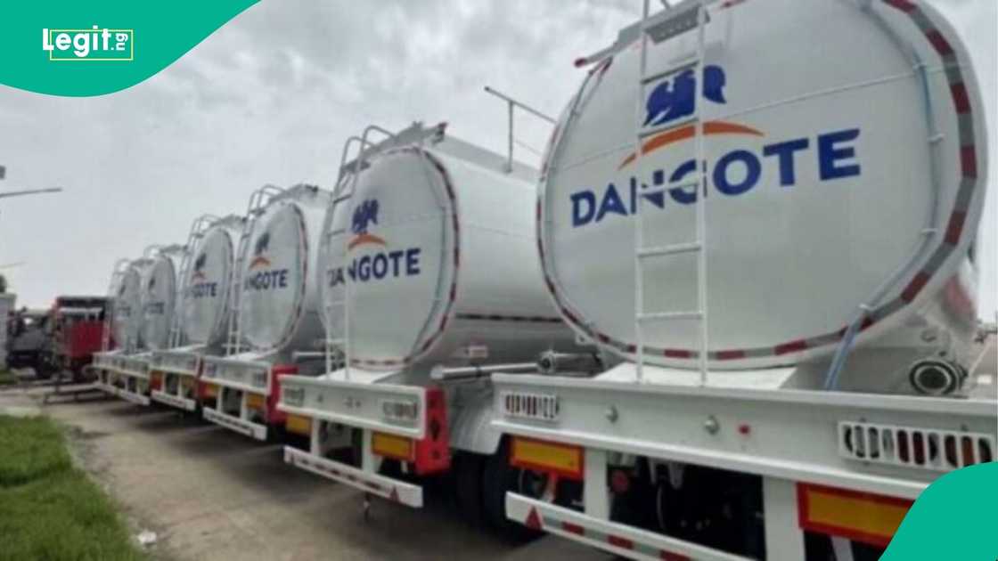 Bismarck Rewane explains Dangote’s N720 billion CNG project Bismarck Rewane explains Dangote’s N720 billion CNG project