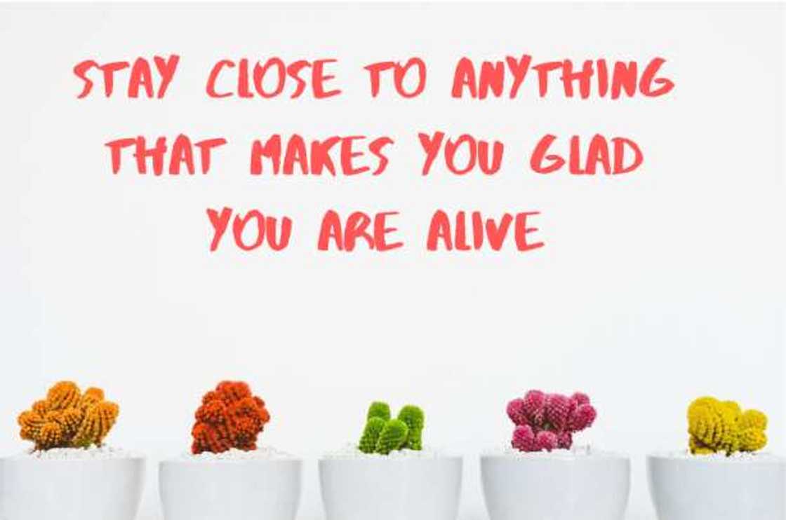 Nice quotes about life Nice quotes about life