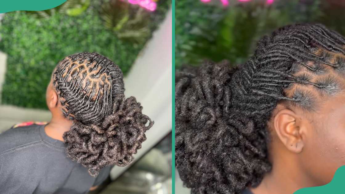 Voluminous braided loc bun updo Voluminous braided loc bun updo