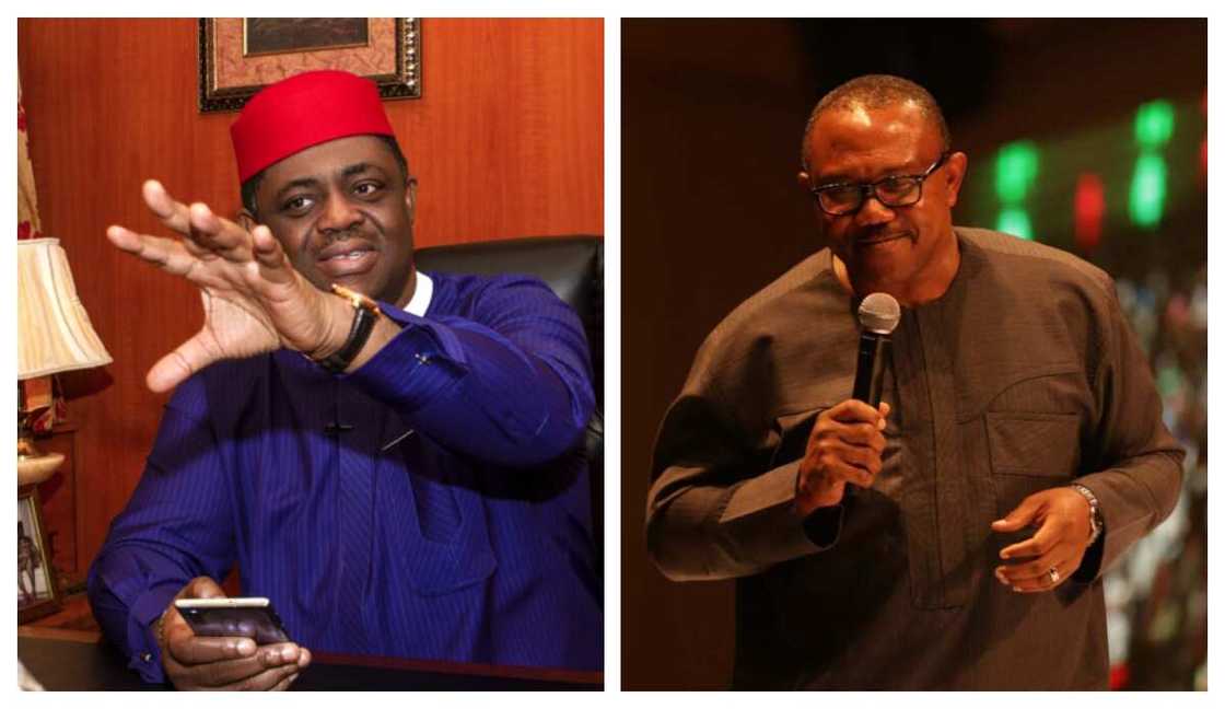 Fani-Kayode, PDP, Peter Obi, Atiku Abubakar, 2023 presidential election, APC