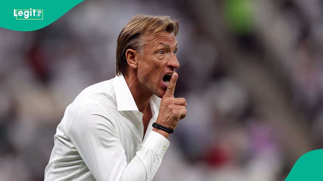 Saudi Arabia, Football, Herve Renard, FIFA, 2026 World Cup, Middle East.