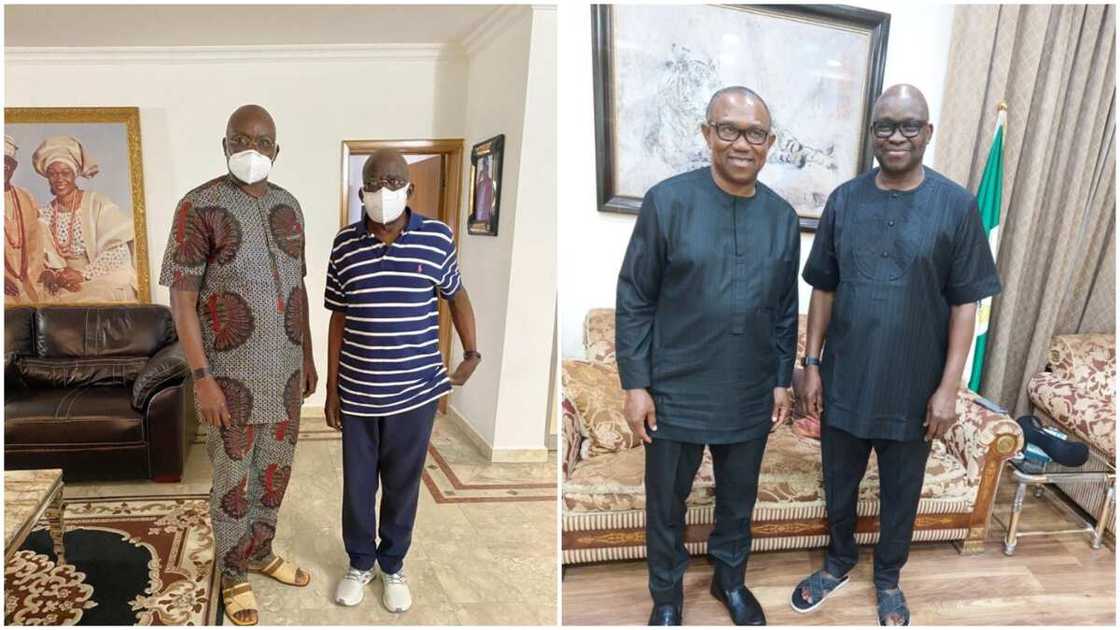 Ayo Fayose/Bola Tinubu/Peter Obi/Atiku Abubakar/Southern Presidency