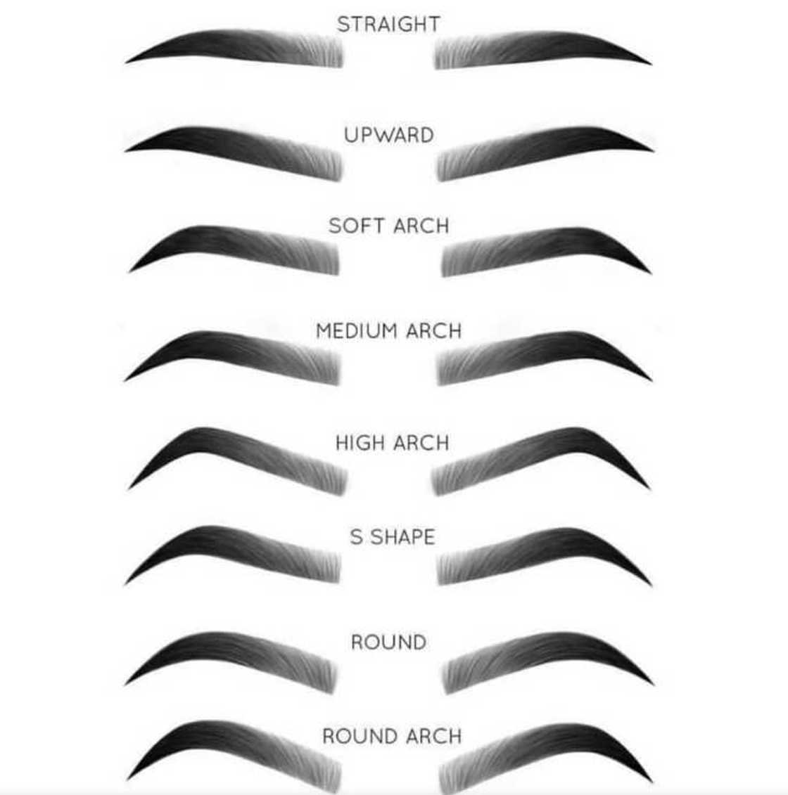 types of eyebrow shapes