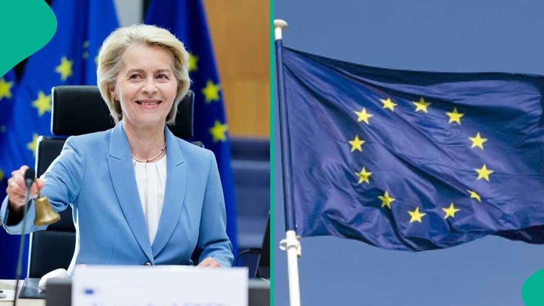 EU announces 7 safe countries for asylum applications, reveals what the new rules mean