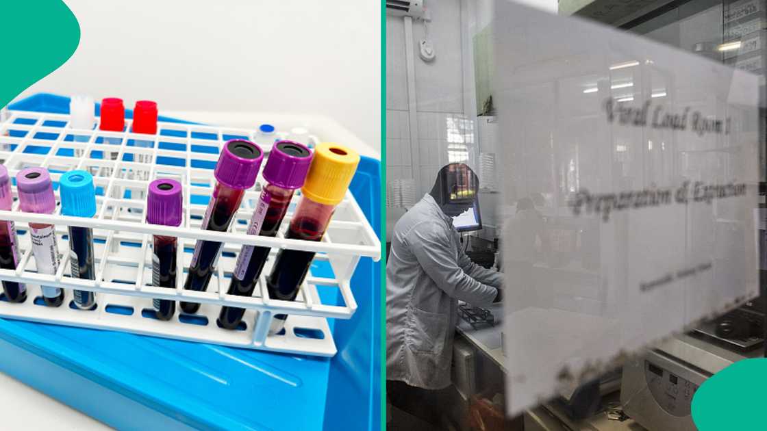 Benue shows rising HIV numbers as the second most affected state in early 2026.