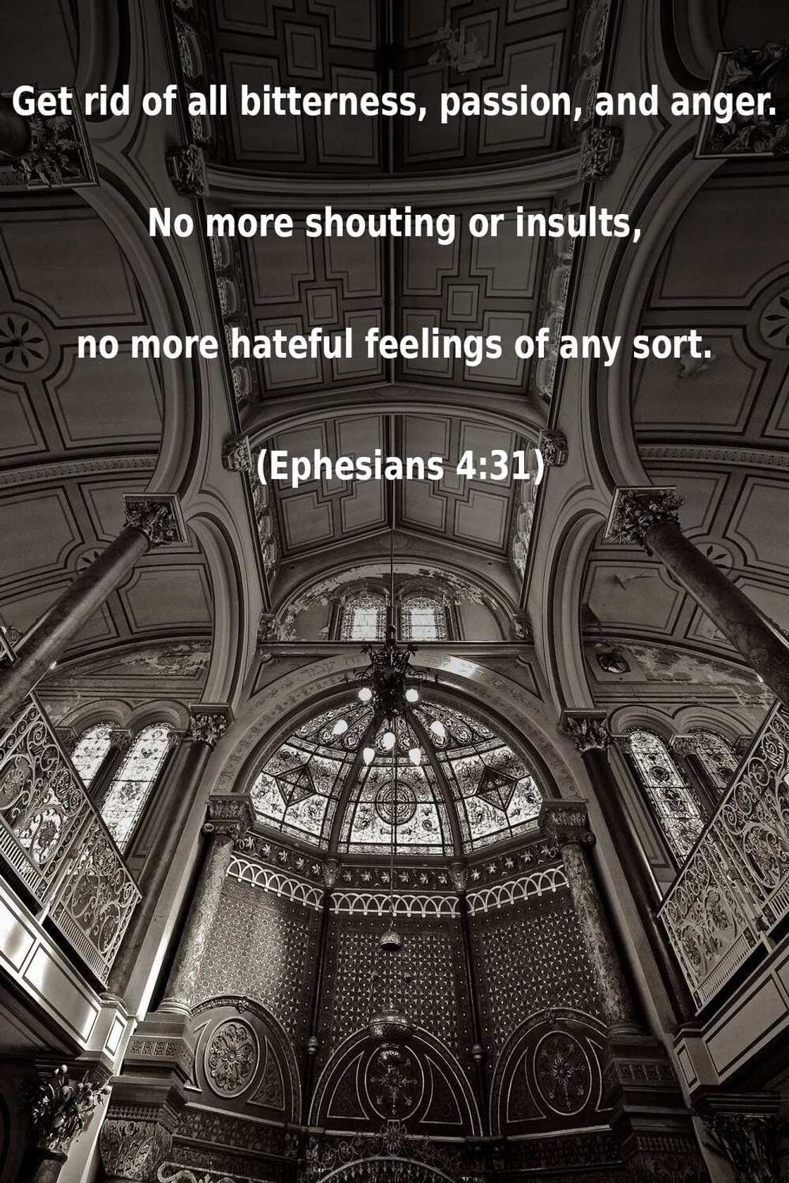 Bible on anger Bible on anger
