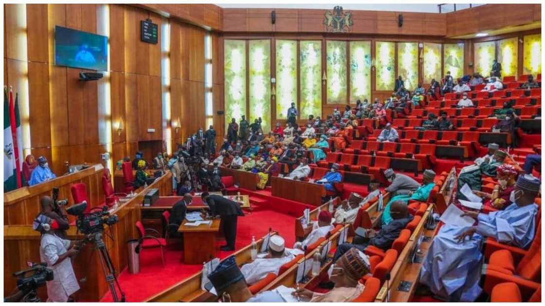 Electoral Act: National Assembly members should bury their heads in shame over section 84(12) Electoral Act: National Assembly members should bury their heads in shame over section 84(12)