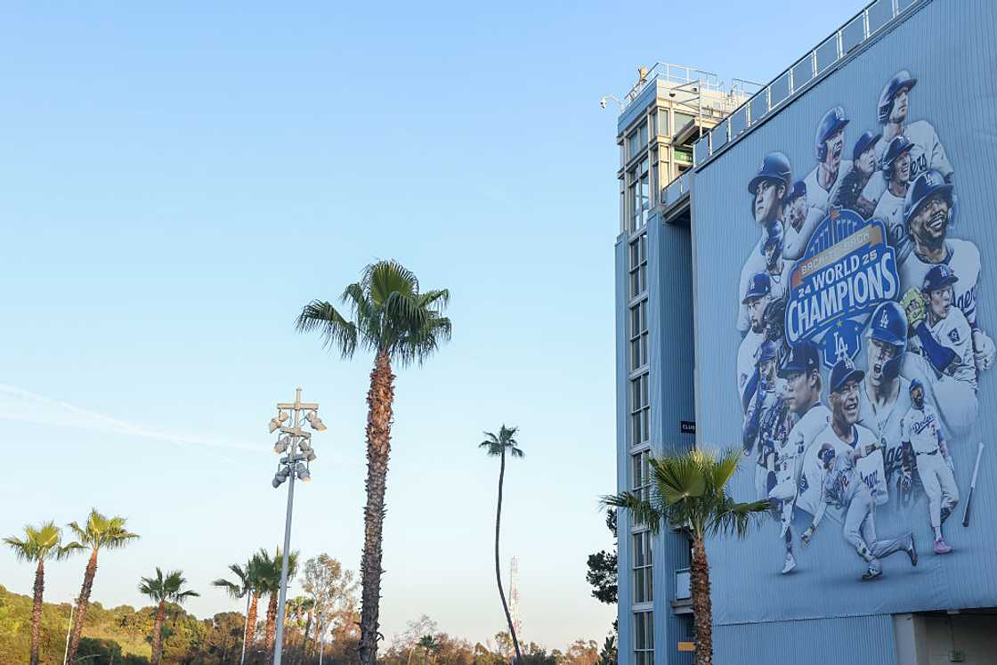 A general view of the Back-to-Back World Series Championship mural A general view of the Back-to-Back World Series Championship mural