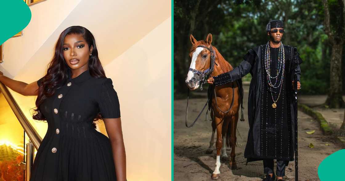 Old posts from BBN'as Isabella surface Old posts from BBN'as Isabella surface