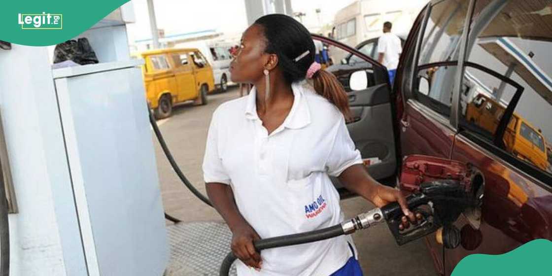 Crude lipid  merchantability  successful  naira volition  clang  petrol price