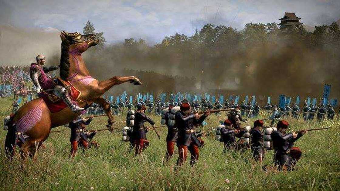 total war series