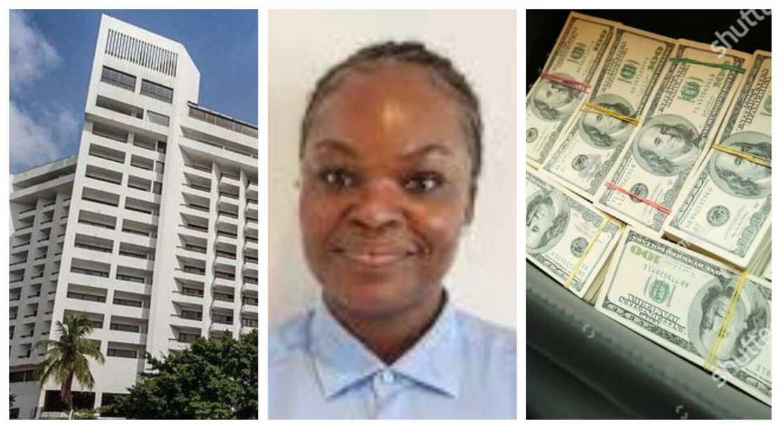 Jakar kudi a otel Jakar kudi a otel