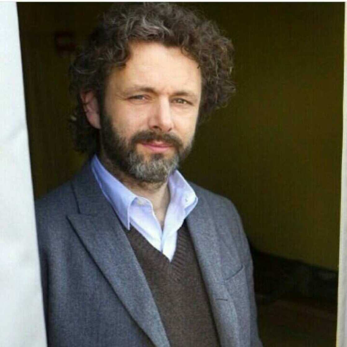 Michael Sheen career