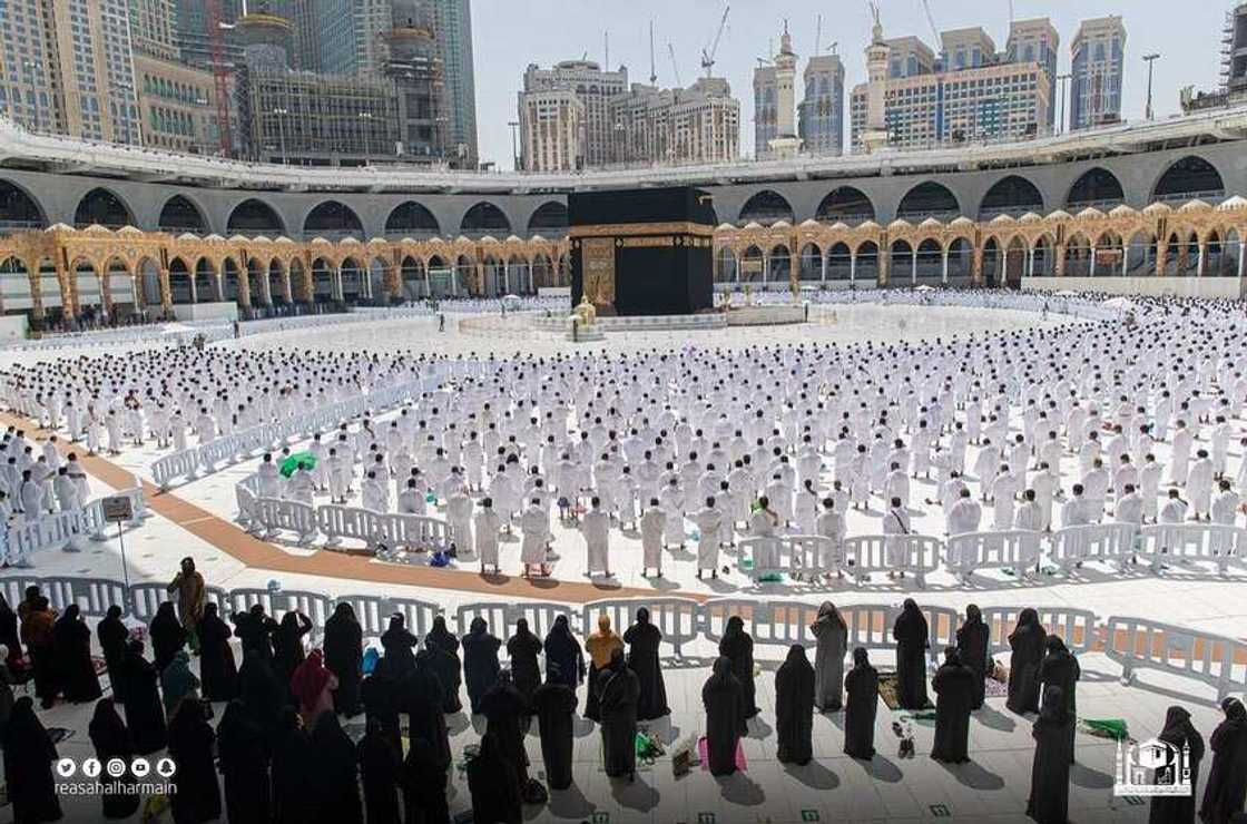 Za'a daina bada tazara a sahun Sallah daga gobe Lahadi a Makkah da Madina Za'a daina bada tazara a sahun Sallah daga gobe Lahadi a Makkah da Madina